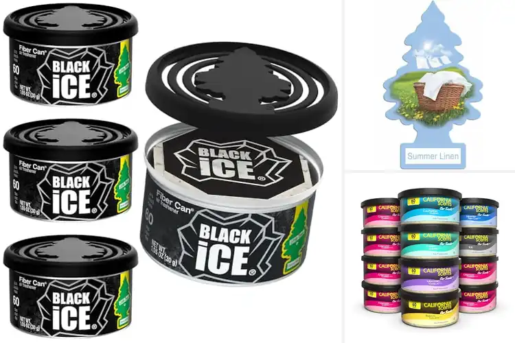 Detailed view of 10 Best Home Car Fresheners for Lasting Freshness