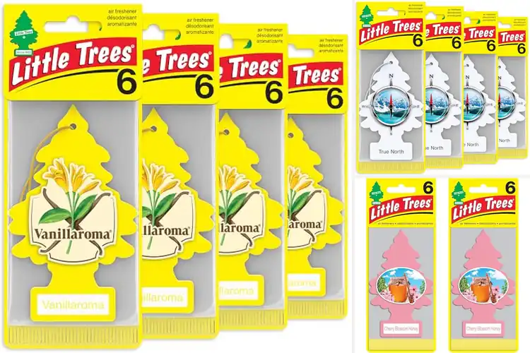 Detailed view of Best Little Trees Original: Freshen Your Space All Day Long
